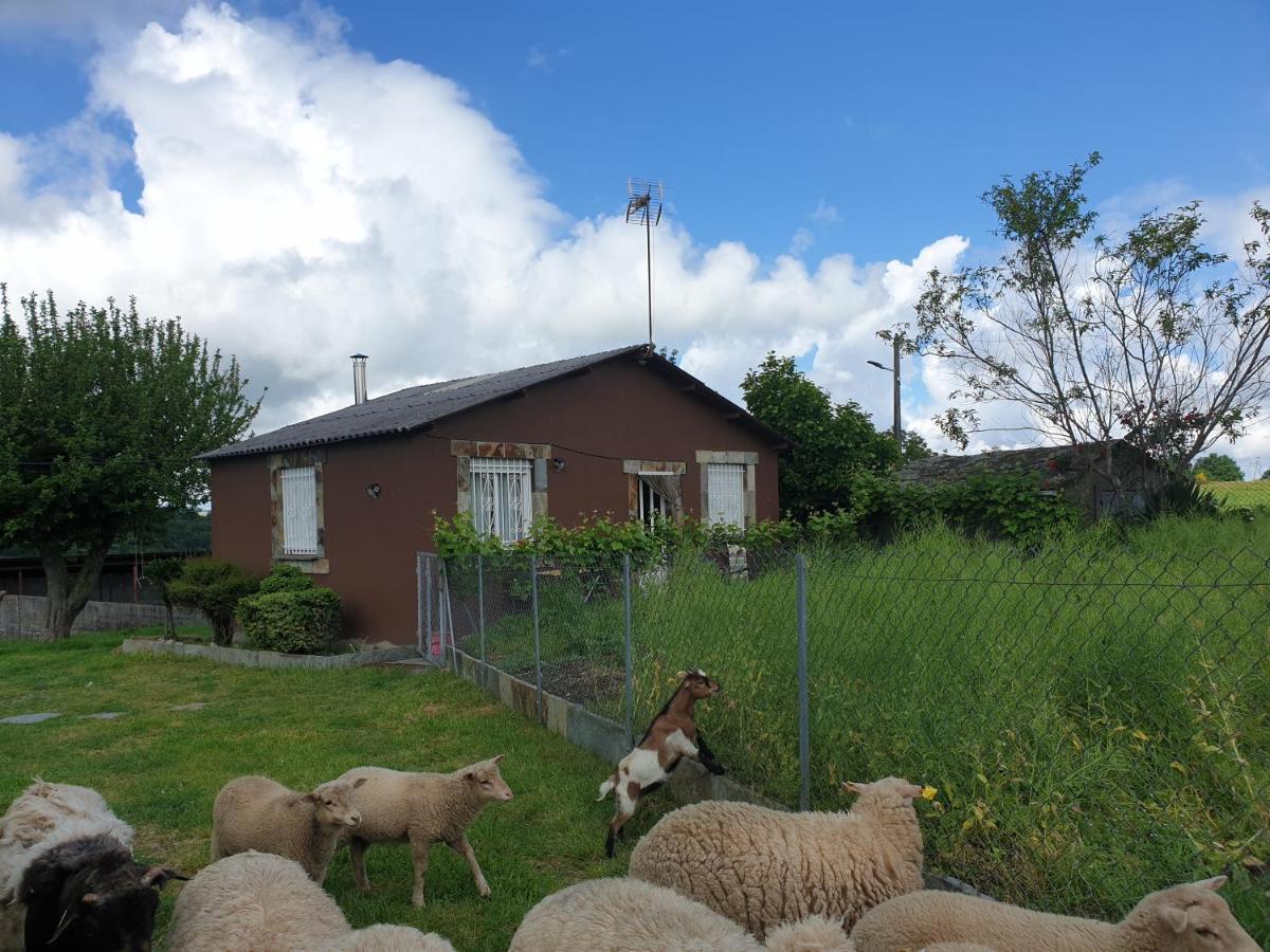 Anamar Villa Lugo Buitenkant foto